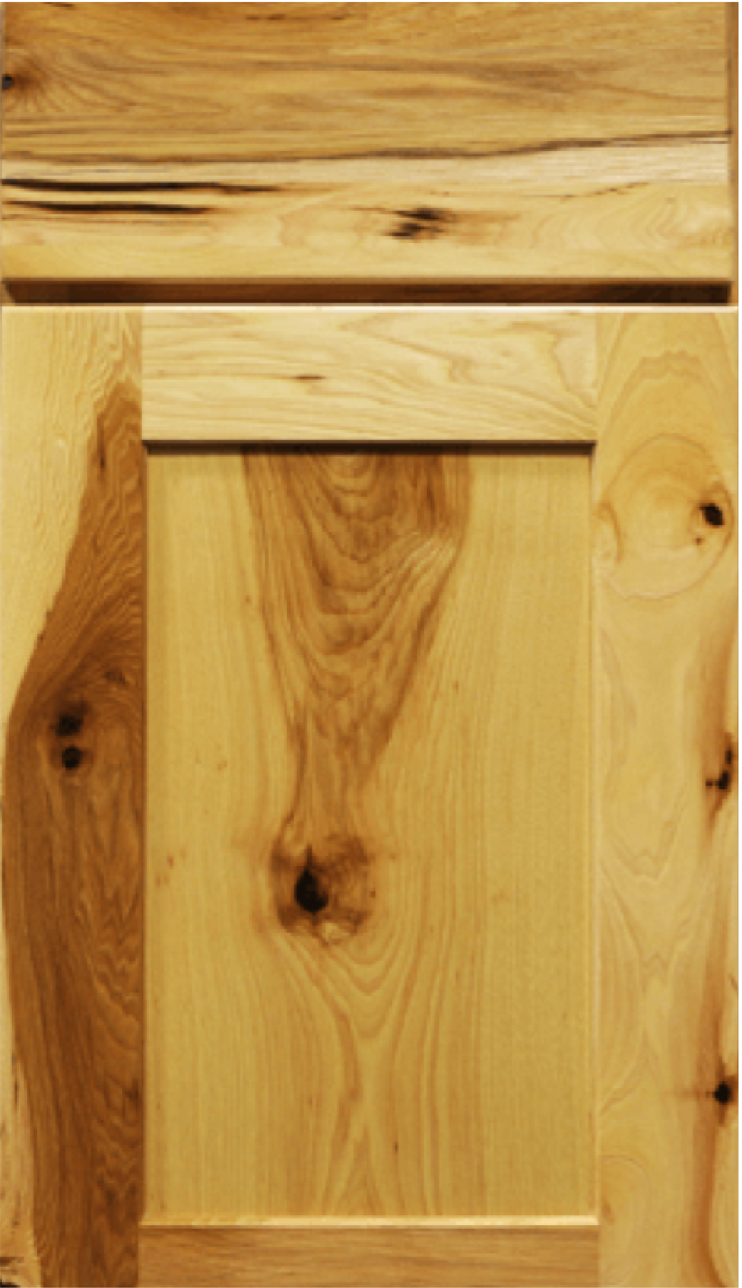 Hickory Shaker