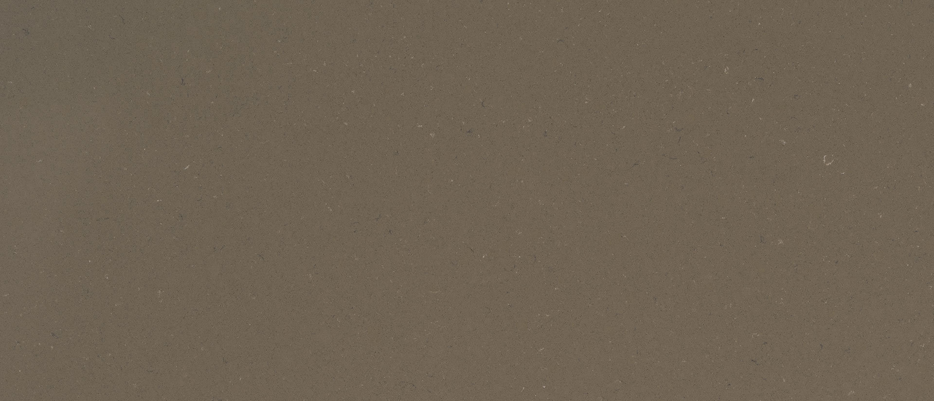 Fossil Brown