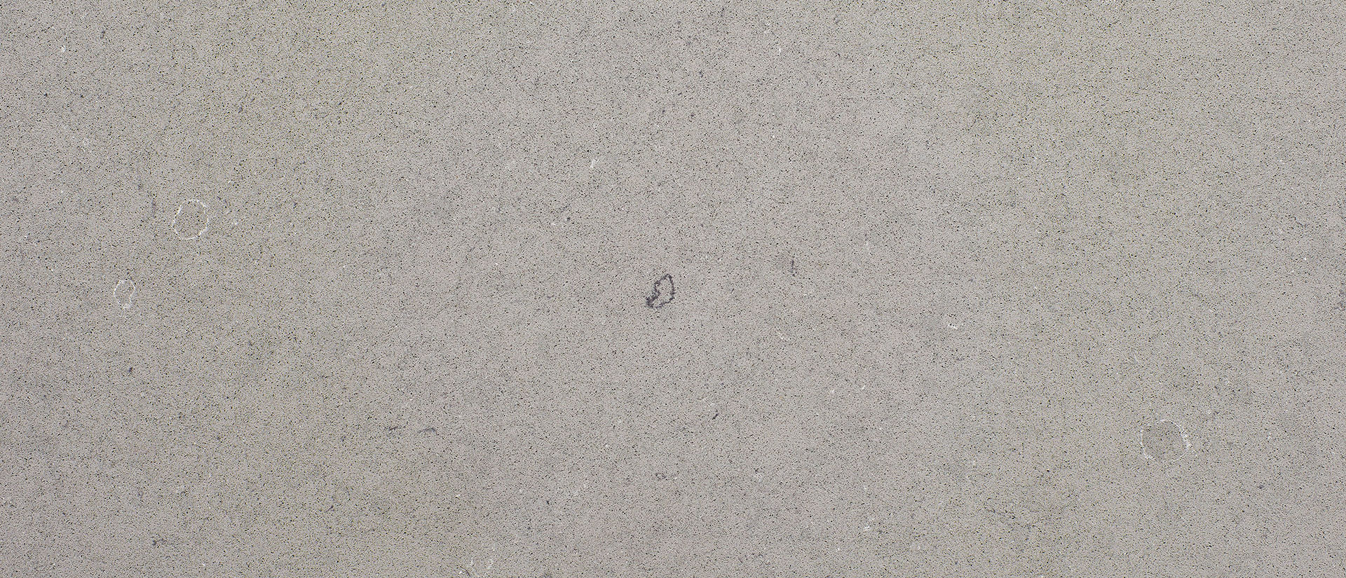 Fossil Gray